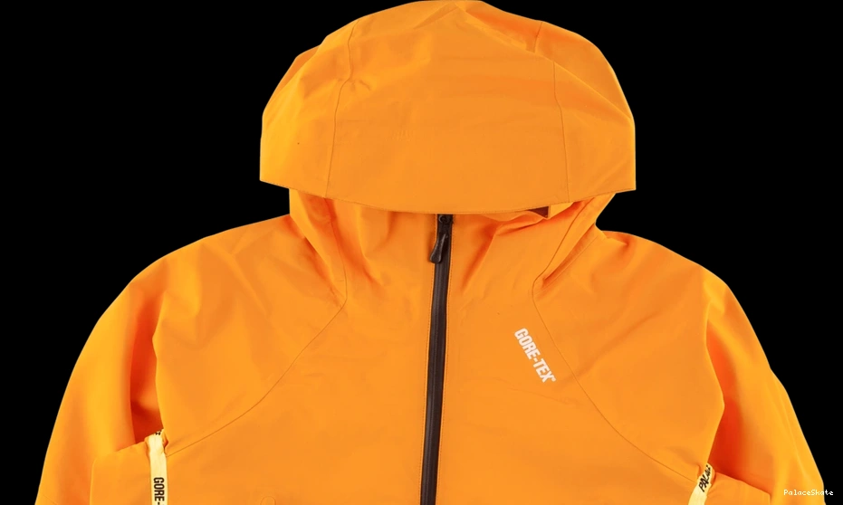 Cheap Palace Gore-Tex Palex Jacket 0813